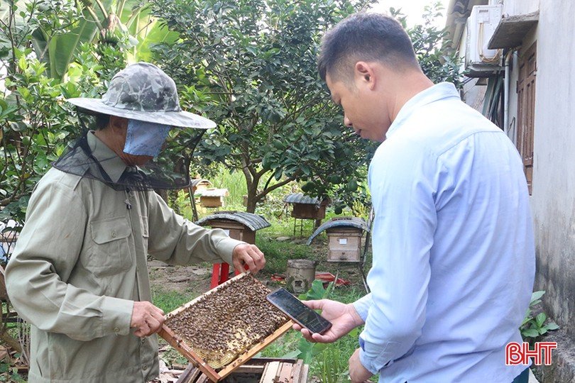 Mùa thu hoạch mật ong ở Hương Sơn