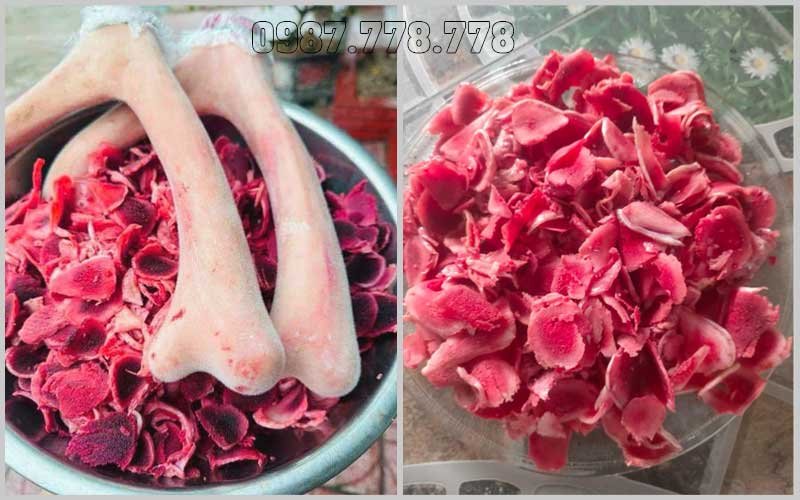 Nhung hươu Hương Sơn cặp 700g - Tinh hoa từ thiên nhiên