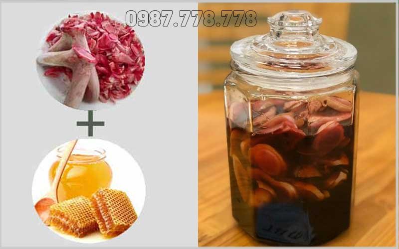 Nhung Hươu Hương Sơn Cặp 600g - Tinh Hoa Từ Thiên Nhiên