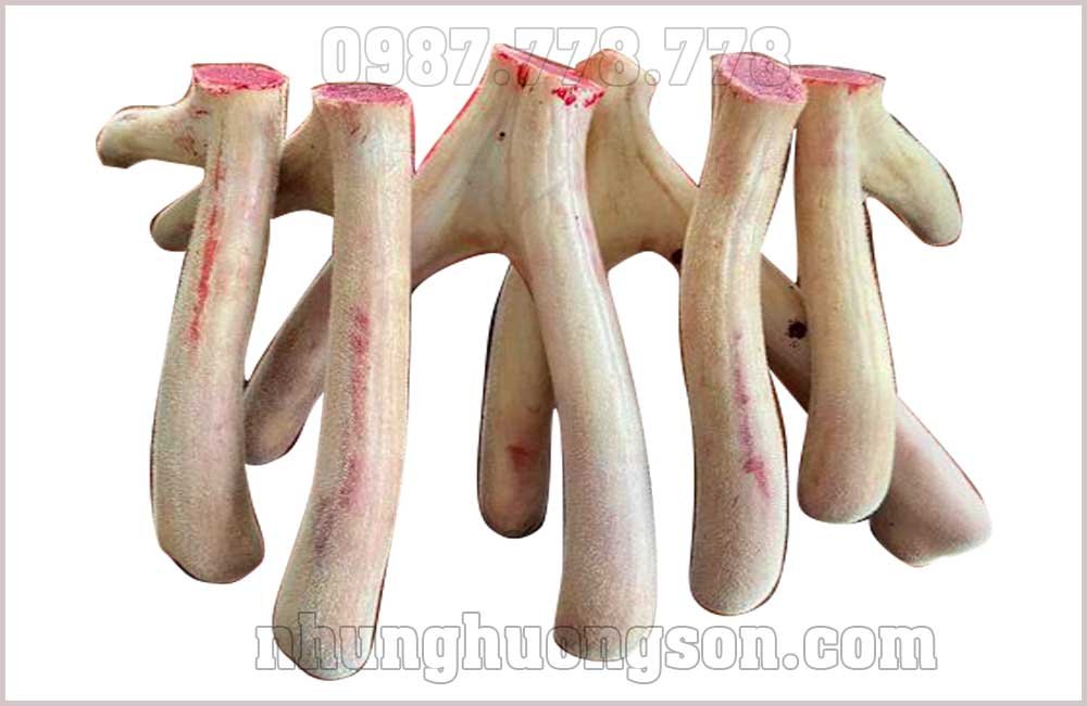 Nhung Hươu Hương Sơn Cặp 1000g - Tinh Hoa Từ Thiên Nhiên