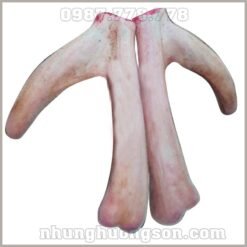 Nhung Hươu Hương Sơn Cặp 1.2kg - Tinh Hoa Sức Khỏe Từ Đại Ngàn