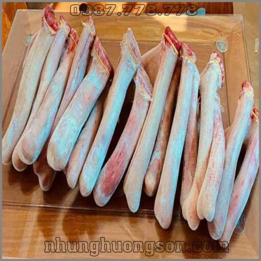 Nhung Hươu Hương Sơn Cặp 1.2kg - Tinh Hoa Dinh Dưỡng Từ Thiên Nhiên