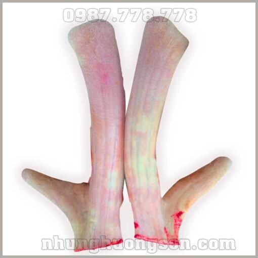 Nhung Hươu Hương Sơn Cặp 1.2kg - Tinh Hoa Sức Khỏe Từ Đại Ngàn