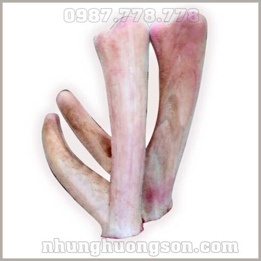 Nhung Hươu Hương Sơn Cặp 1.2kg - Tinh Hoa Sức Khỏe Từ Đại Ngàn