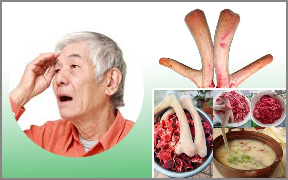 8 Lợi Ích Tuyệt Vời Của Nhung Hươu Cho Người Già