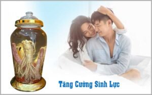 10 Bài Thuốc Tăng Cường Sinh Lực Phái Mạnh Từ Nhung Hươu