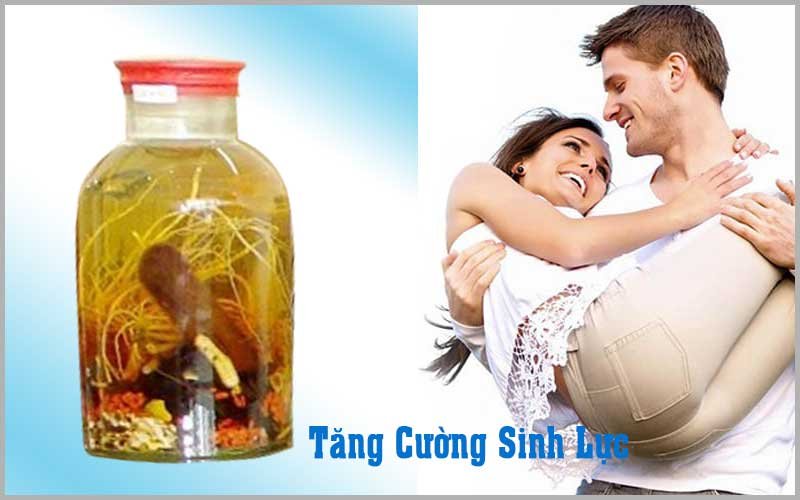 10 Bài Thuốc Tăng Cường Sinh Lực Phái Mạnh Từ Nhung Hươu